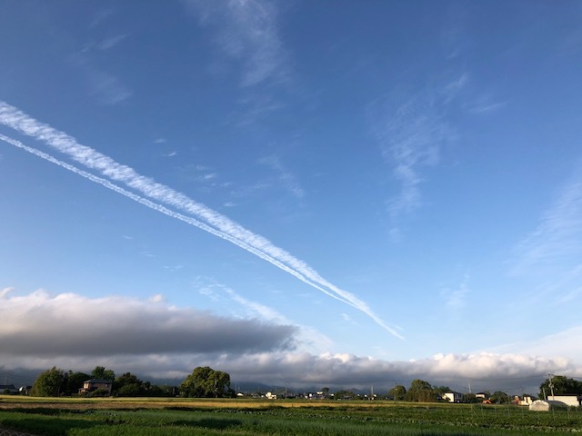 お天気回復傾向。