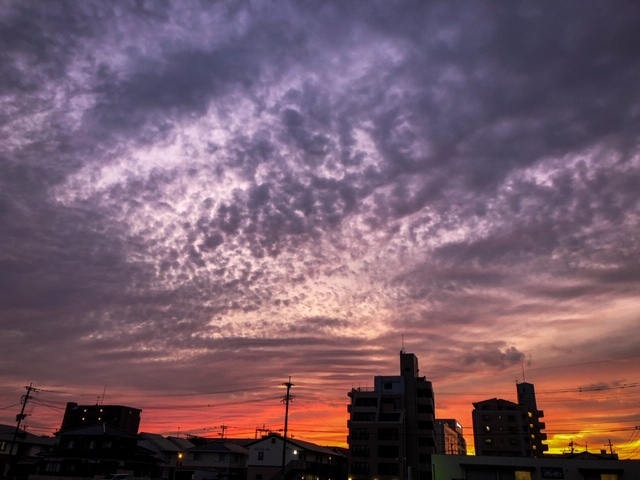 今夜は道場でした^_^