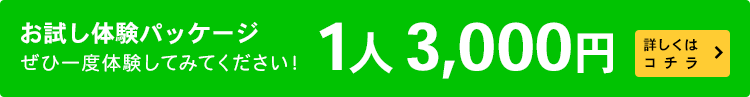 お試し体験パッケージ　1人3,000円